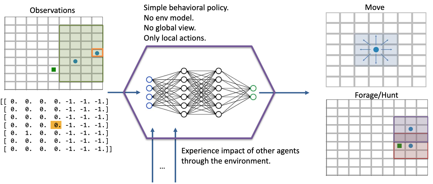 Diagram visually depicting agents' observation and action spaces.